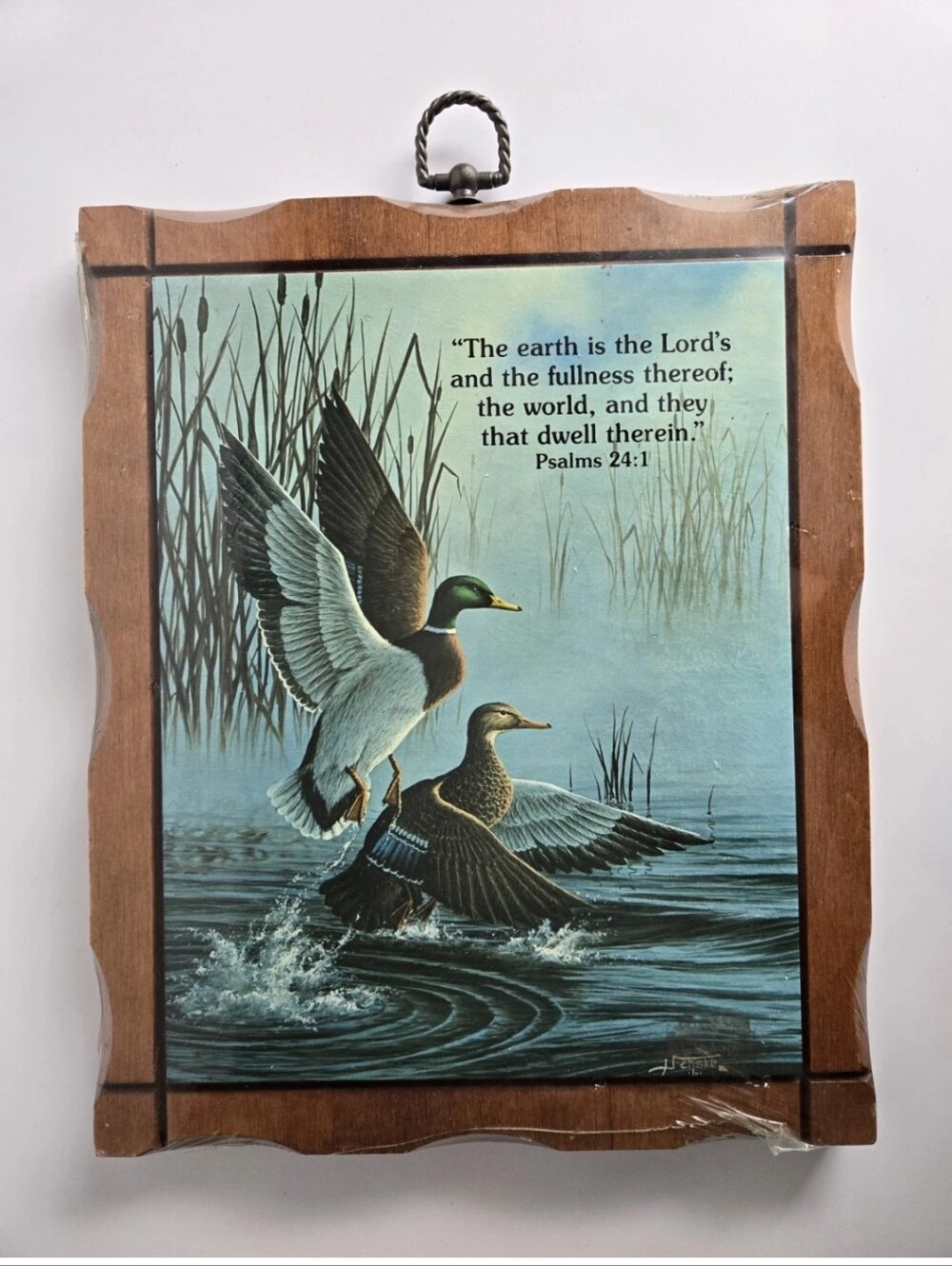 Dicksons Inspirational Gifts Duck Wooden Wall Art Vintage NWT